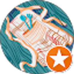 Profile photo of Vona Hunter