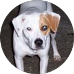 Profile photo of stephen jones