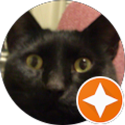 Profile photo of Alex Wilde