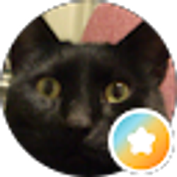 Profile photo of Alex Wilde