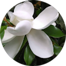 Profile photo of LaRita Witcher