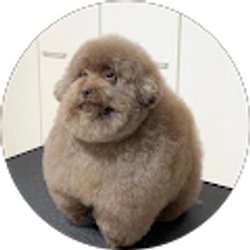 Profile photo of Lexie Gomez