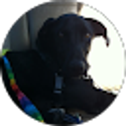 Profile photo of kevin cameron