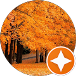 Profile photo of Michael Marino