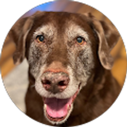 Profile photo of Pamella Jackson