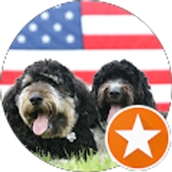 Profile photo of Greg Motley