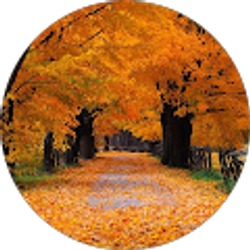 Profile photo of Tiffany Vranick