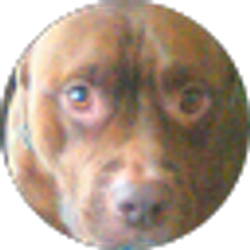 Profile photo of Angela Nunley