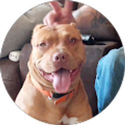 Profile photo of Cathy Hall