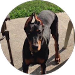 Profile photo of Susan Cox