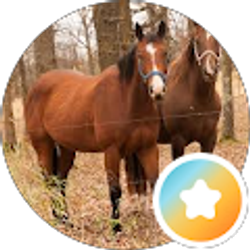 Profile photo of Chris Garrett