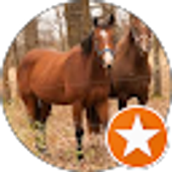 Profile photo of Chris Garrett