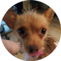 Profile photo of Susan Jones
