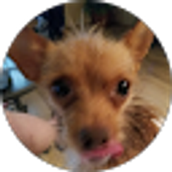 Profile photo of Susan Jones