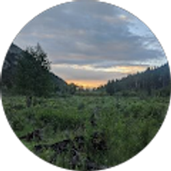 Profile photo of Felicia Sampson