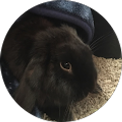 Profile photo of scott evans