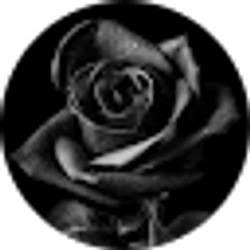 Profile photo of Nong