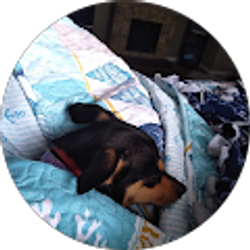 Profile photo of Marsha Pye