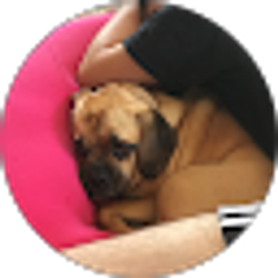Profile photo of Williams Barrios
