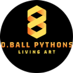 Profile photo of D Ball