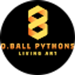 Profile photo of D Ball