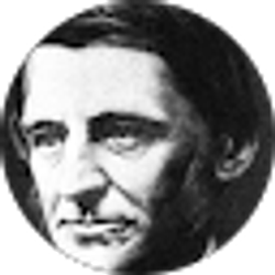 Profile photo of Tommy T