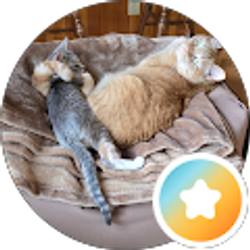 Profile photo of R Roberts