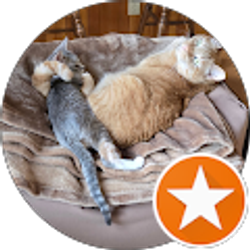 Profile photo of R Roberts