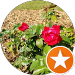 Profile photo of Sarah Rose