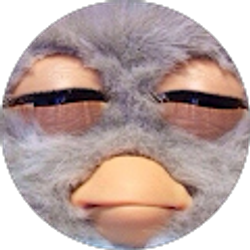Profile photo of Jessi Hart