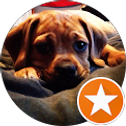 Profile photo of Amber