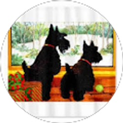 Profile photo of Dorothy Webster