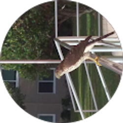 Profile photo of lilgamerboy