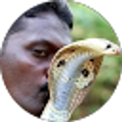 Profile photo of jacob hendricks