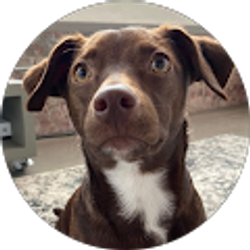 Profile photo of Chris Henry