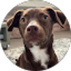 Profile photo of Chris Henry