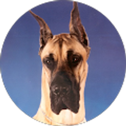 Profile photo of logan fenske