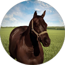 Profile photo of Suzie MK