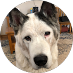 Profile photo of Barb Thompson