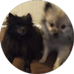 Profile photo of Rhonda Yarborough