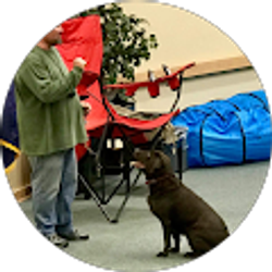 Profile photo of J Morgan