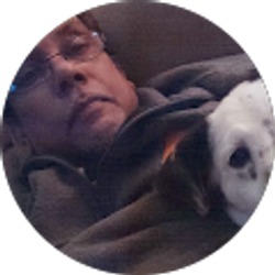 Profile photo of Owen Rode