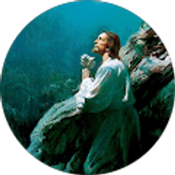 Profile photo of david zelaya