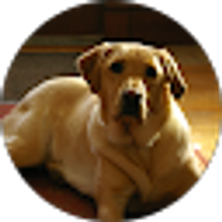 Profile photo of Larry