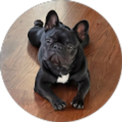 Profile photo of Chase Cook