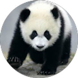 Profile photo of Brian Berg