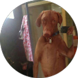 Profile photo of xero