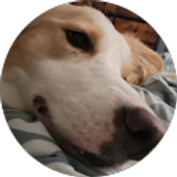 Profile photo of Brittany Ludwig