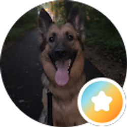 Profile photo of Markie Cassady