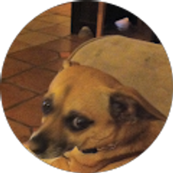 Profile photo of brian love